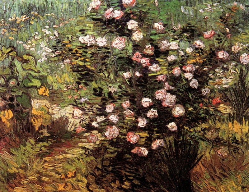 Rosebush in Blossom by Vincent van Gogh — Oil Painting Reproduction