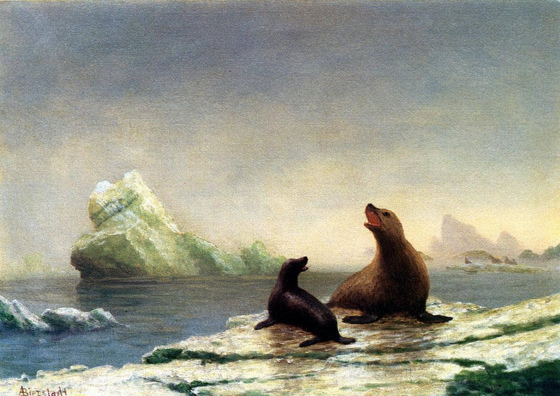 Seals by Albert Bierstadt — Oil Painting Reproduction