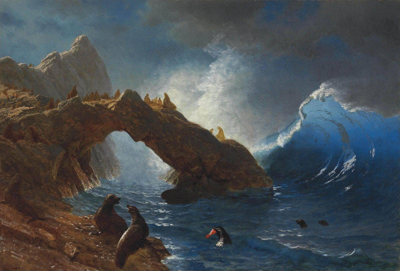 Seals on the Rocks by Albert Bierstadt — Oil Painting Reproduction