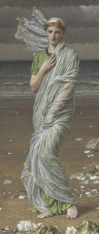 Seashells in study