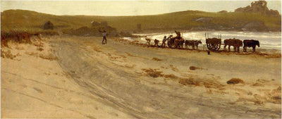 Seaweed Harvesting in entryway