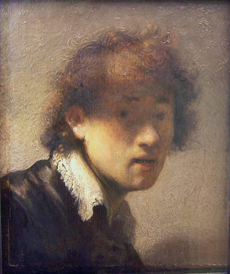 Self-portrait at an early age by Rembrandt — Oil Painting Reproduction