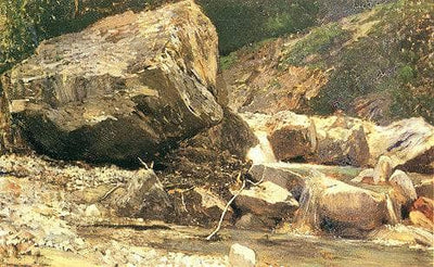 Shore of a mountain stream in study