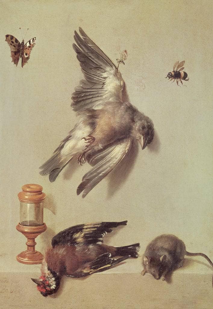 Still life of dead birds and a mouse by Jean-Baptiste Oudry — Oil Painting Reproduction