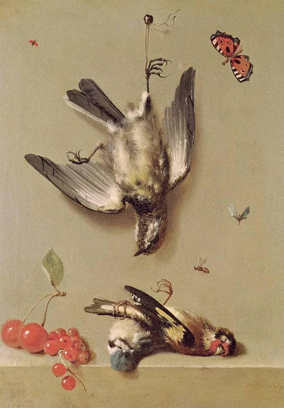 Still Life of Dead Birds and Cherries in dining room