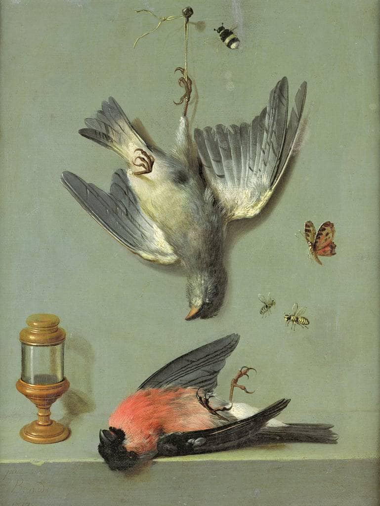 Still Life With Birds and Insects by Jean-Baptiste Oudry — Oil Painting Reproduction