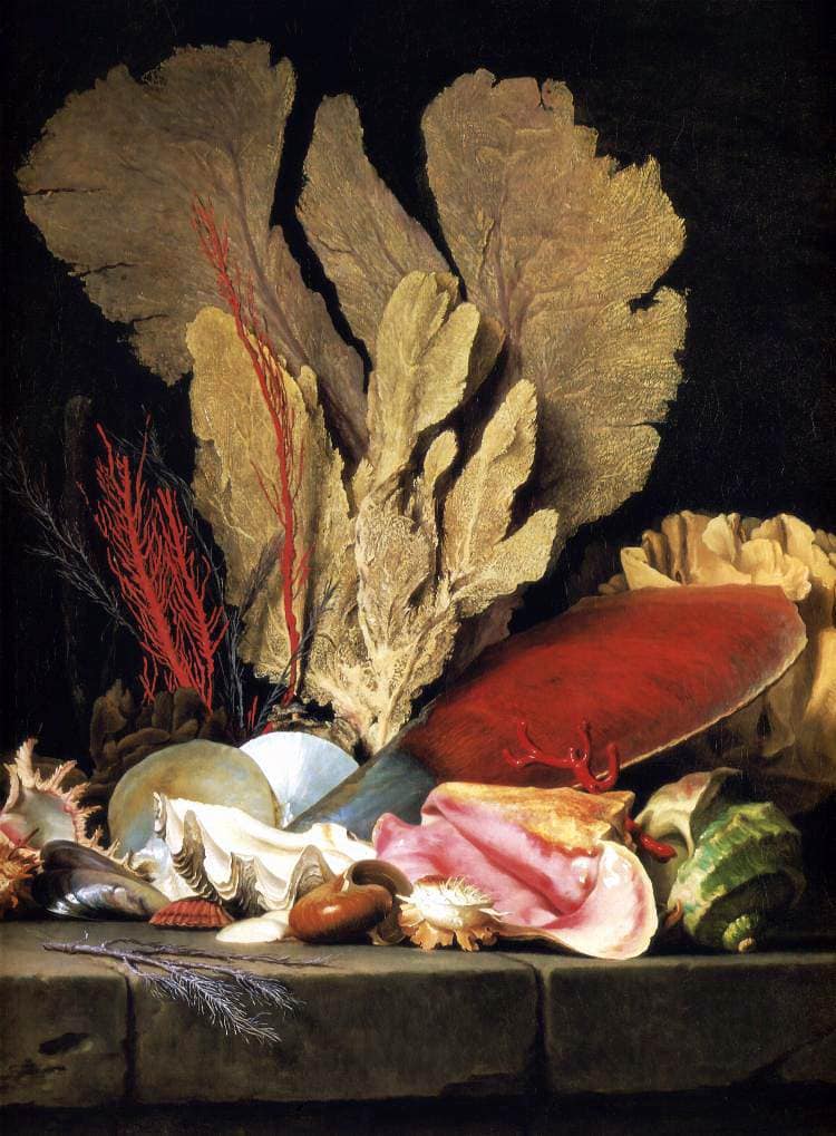 Still-Life with Tuft of Marine Plants, Shells and Corals by Anne Vallayer-Coster — Oil Painting Reproduction