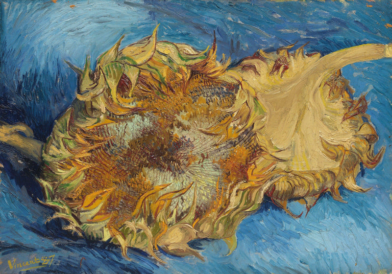 Still Life with Two Sunflowers by Vincent van Gogh — Oil Painting Reproduction