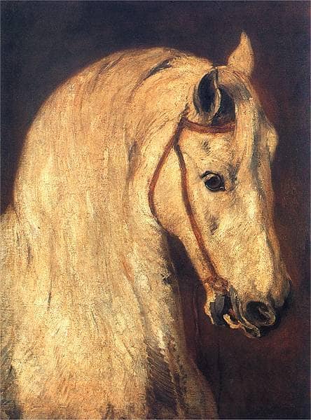 Studium of Horse Head by Piotr MichaÅowski — Oil Painting Reproduction