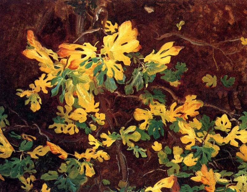Study of a Fig Tree by John Singer Sargent — Oil Painting Reproduction
