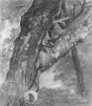 Study of a Tree by Albert Bierstadt — Oil Painting Reproduction