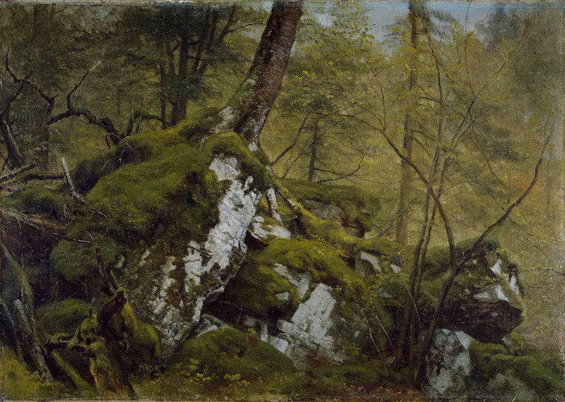 Study of a Wood Interior by Asher Brown Durand — Oil Painting Reproduction