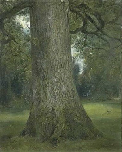 Study of the Trunk of an Elm Tree in bedroom