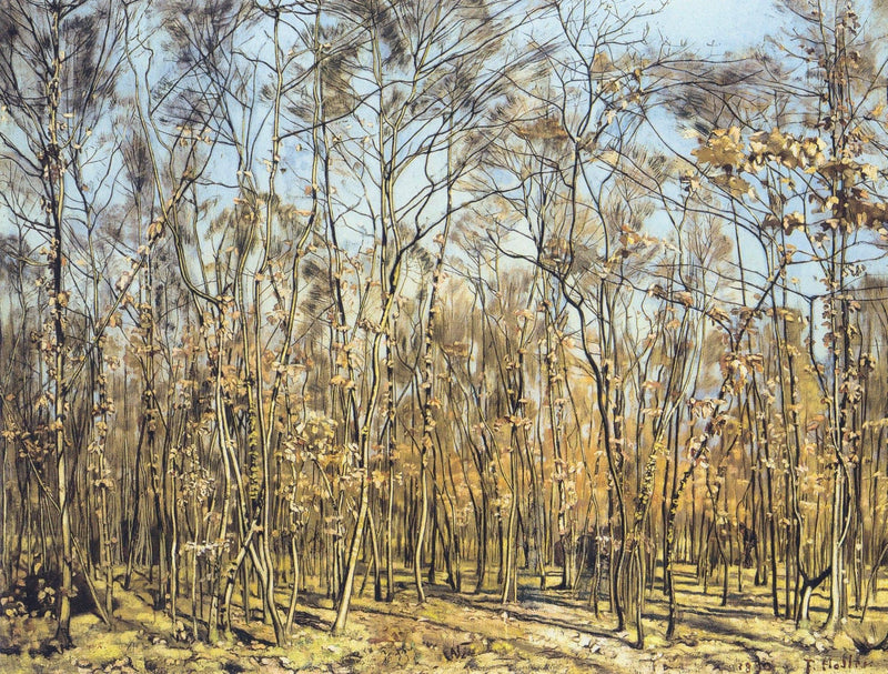 The Beech Forest by Ferdinand Hodler — Oil Painting Reproduction