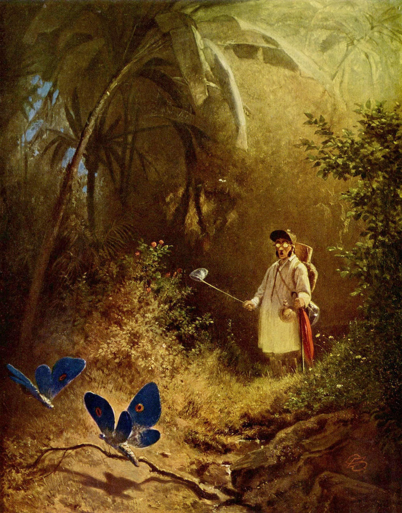 The Butterfly Hunter by Carl Spitzweg — Oil Painting Reproduction