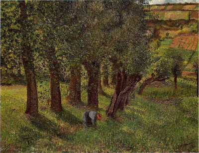 The cabbage of Pontoise in entryway