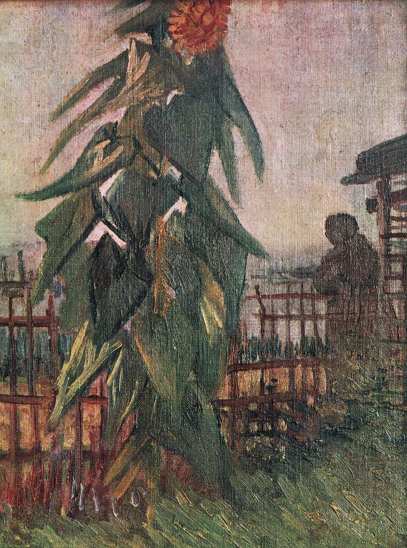 The Garden with Sunflower by Vincent van Gogh — Oil Painting Reproduction