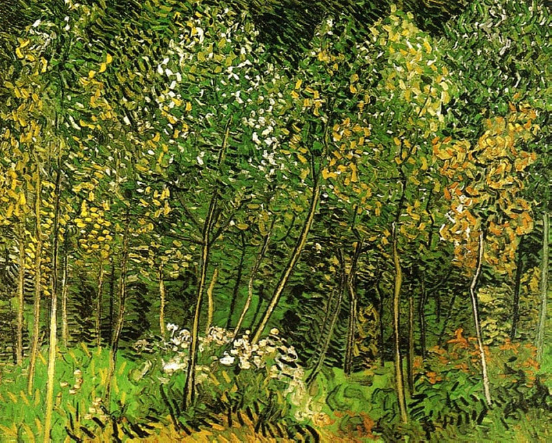 The Grove by Vincent van Gogh — Oil Painting Reproduction