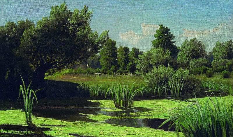 The landscape. The reeds in the river. by Volodymyr Orlovsky — Oil Painting Reproduction