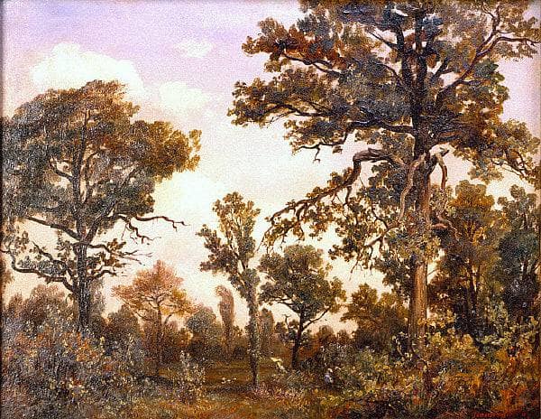 The Large Oak Tree, Forest of Fontainebleau by Theodore Rousseau — Oil Painting Reproduction