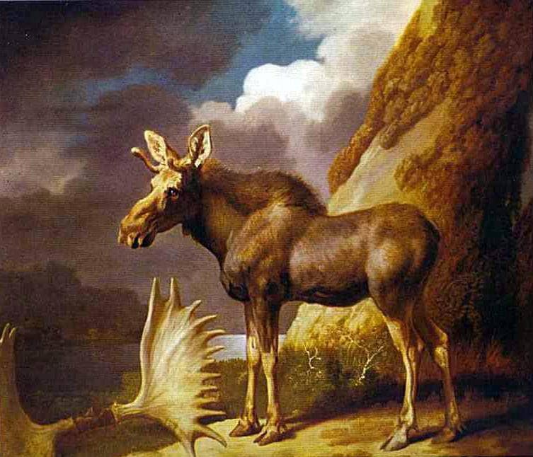 The Moose by George Stubbs — Oil Painting Reproduction