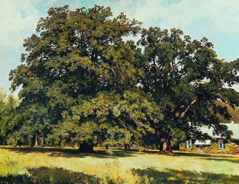 The Mordvinovo Oaks by Ivan Shishkin — Oil Painting Reproduction