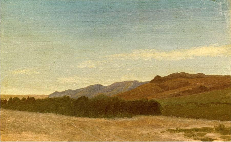 The Plains Near Fort Laramie by Albert Bierstadt — Oil Painting Reproduction
