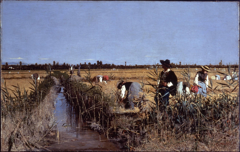 The rice harvest in the Verona area by Giacomo Favretto — Oil Painting Reproduction