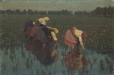 The rice seeders in modern living room