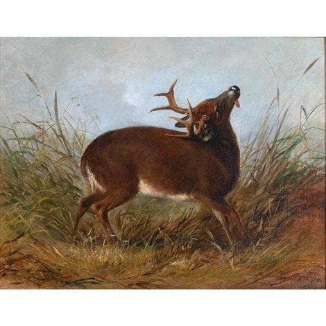 The Wounded Stag by Arthur Fitzwilliam Tait — Oil Painting Reproduction