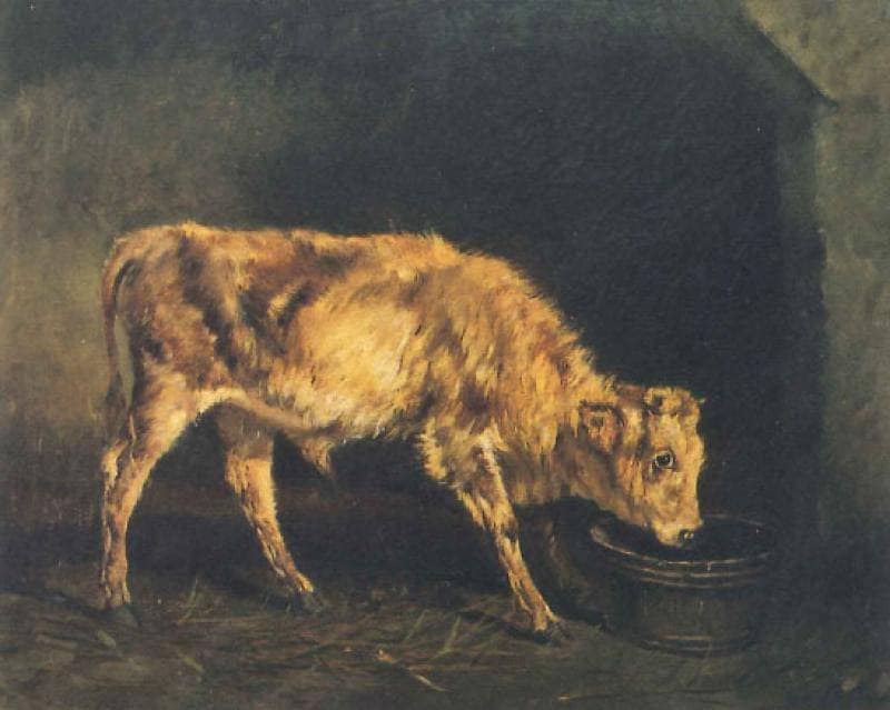 The young bull by Filippo Palizzi — Oil Painting Reproduction