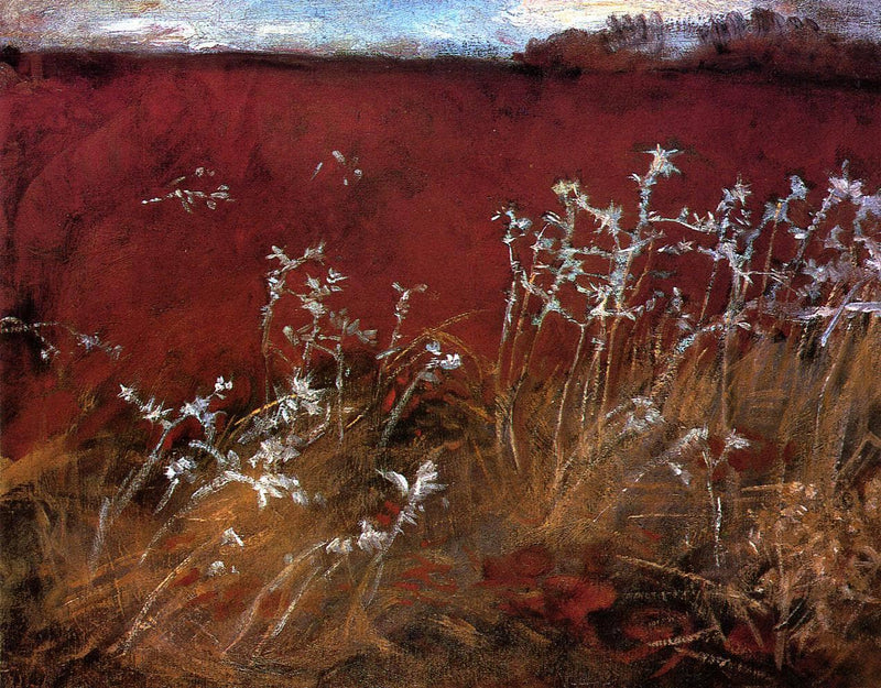 Thistles by John Singer Sargent — Oil Painting Reproduction
