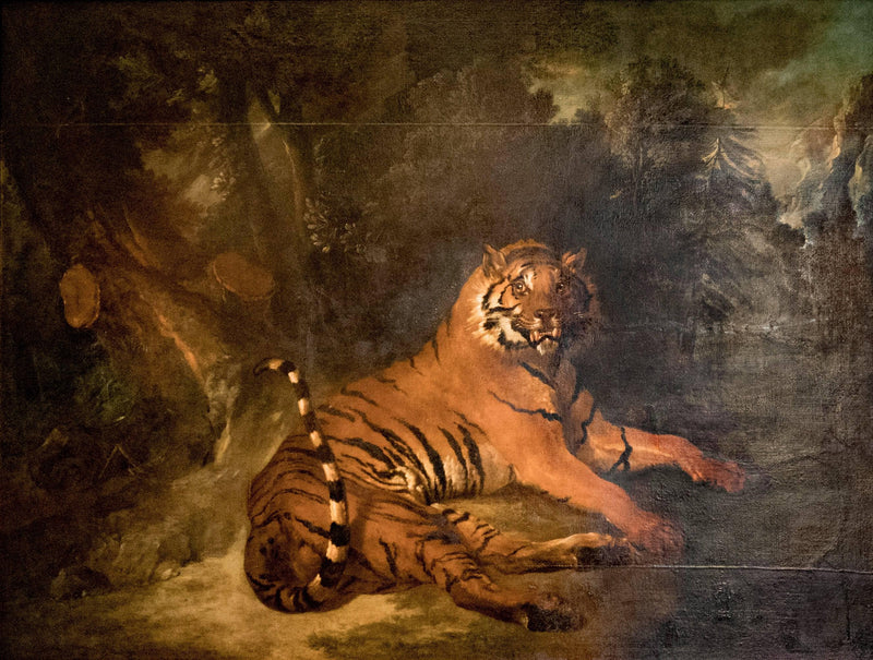 Tiger by Jean-Baptiste Oudry — Oil Painting Reproduction
