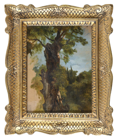 Tree in a landscape in living room