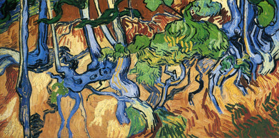 Tree roots in living room