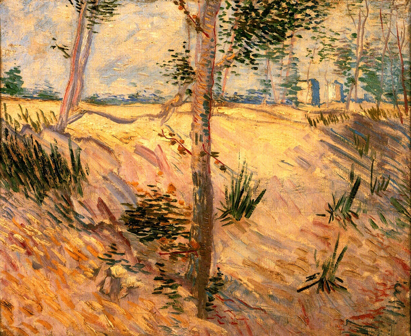 Trees in a Field on a Sunny Day by Vincent van Gogh — Oil Painting Reproduction