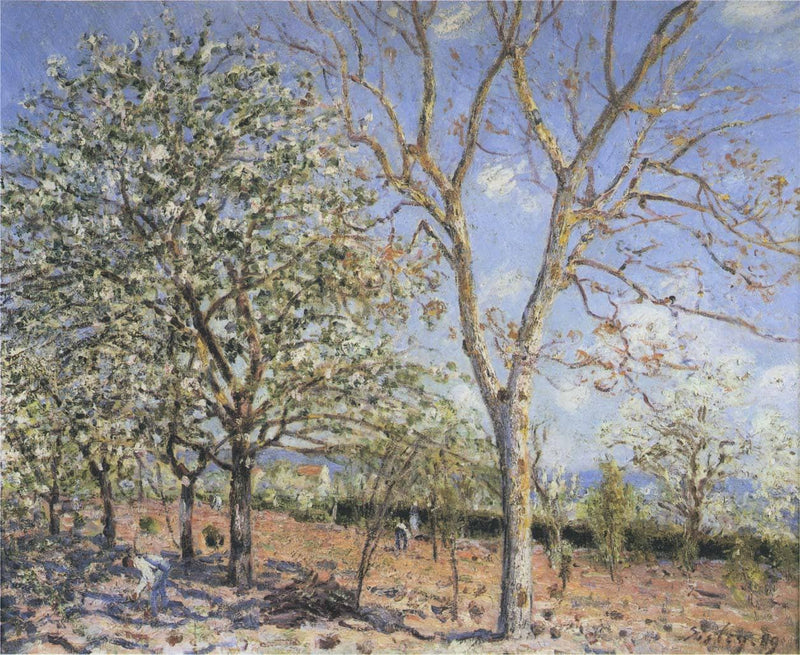 Trees in Bloom by Alfred Sisley — Oil Painting Reproduction