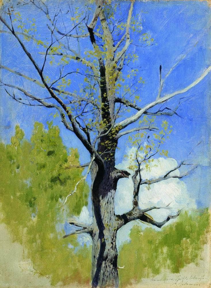 Trunk of burgeoning oak by Isaac Levitan — Oil Painting Reproduction
