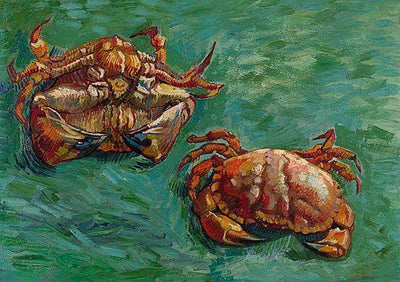 Two Crabs in kitchen