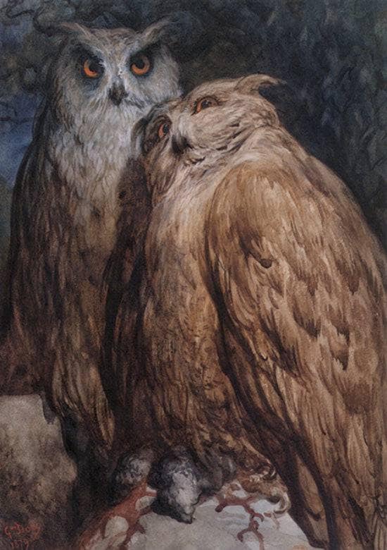 Two Owls by Gustave Dore — Oil Painting Reproduction
