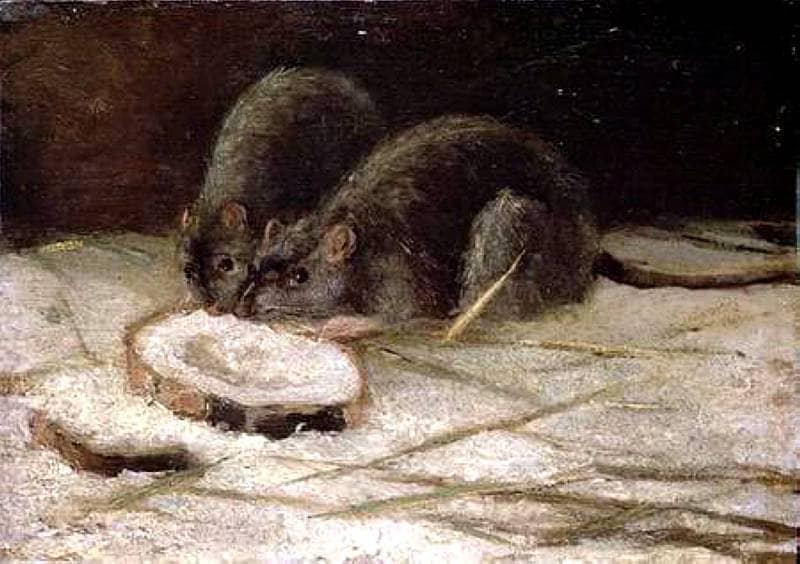 Two Rats by Vincent van Gogh — Oil Painting Reproduction