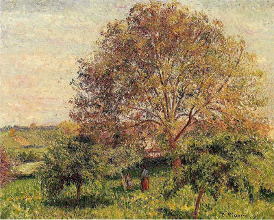 Walnut Tree in Spring in apartment