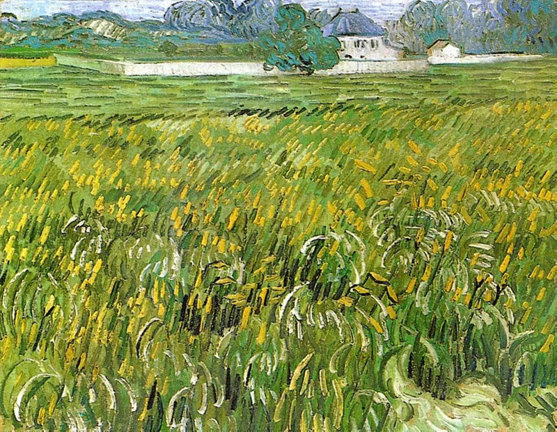 Wheat Field at Auvers with White House by Vincent van Gogh — Oil Painting Reproduction