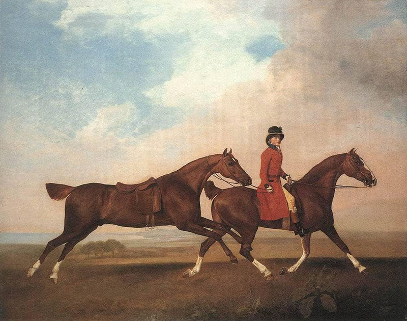 William Anderson with two saddle-horses by George Stubbs — Oil Painting Reproduction