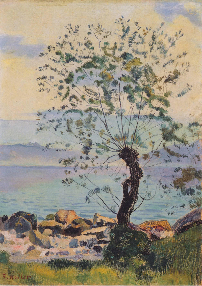 Willow tree by the lake by Ferdinand Hodler — Oil Painting Reproduction