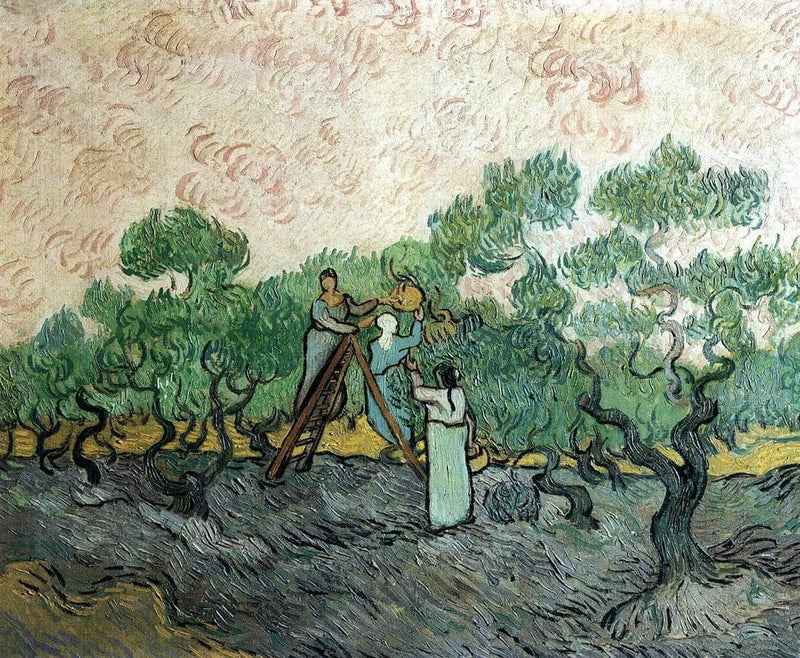Women Picking Olives by Vincent van Gogh — Oil Painting Reproduction