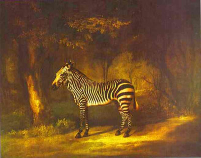 Zebra in entryway