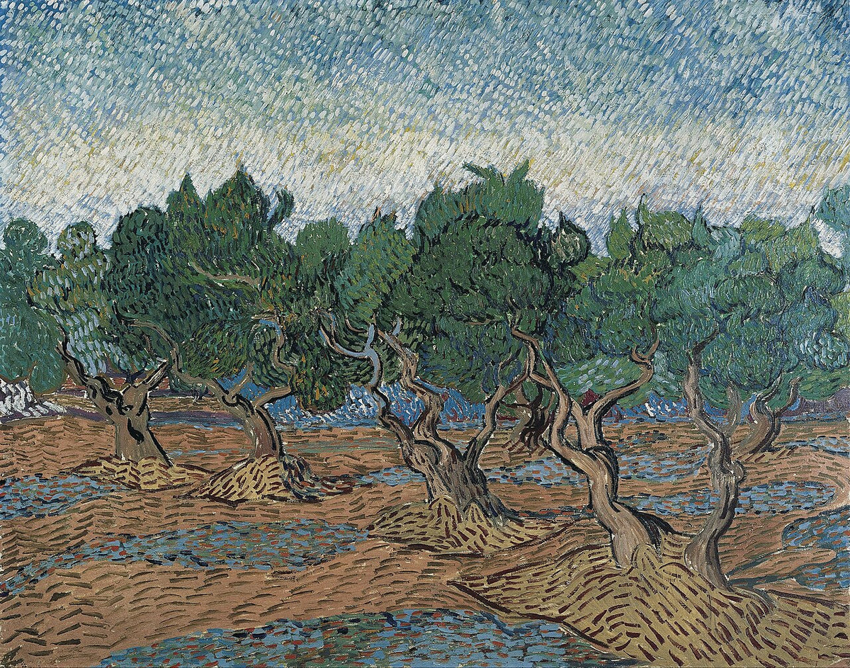 Vincent van Gogh, Olive Grove, 1889