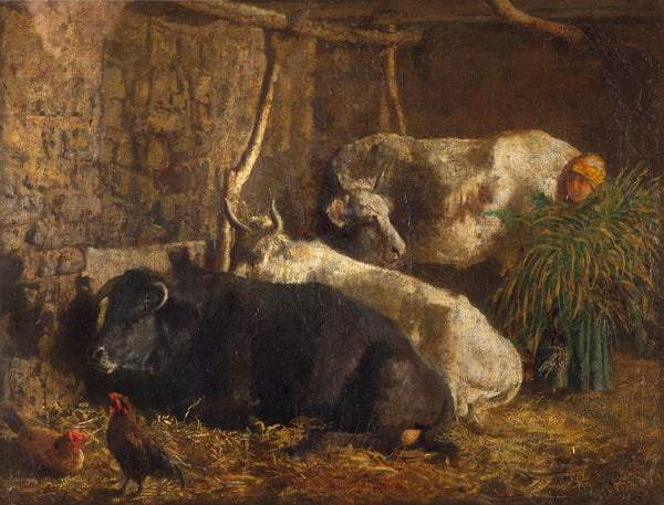 Stable with oxen
