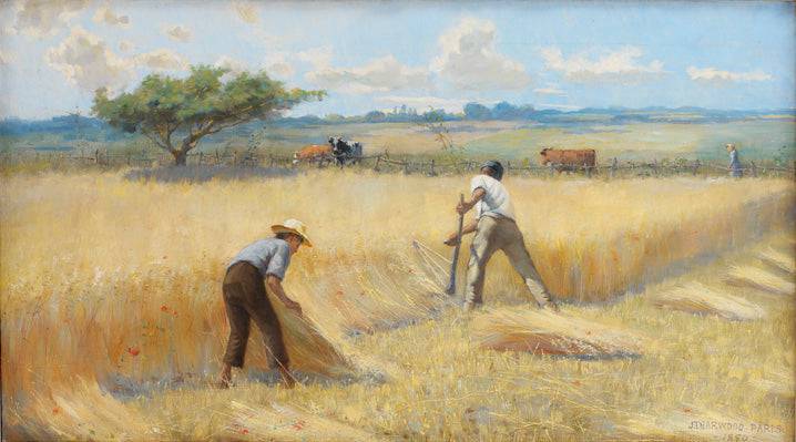 Harvest Time in France - James Taylor Harwood